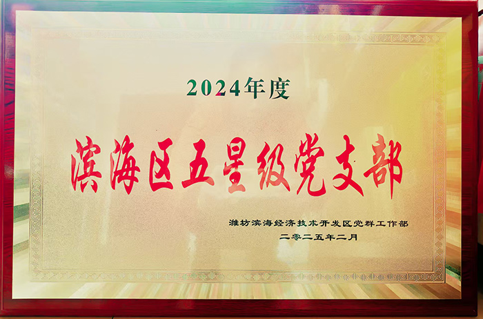 公司黨支部獲評濱海區(qū)2024年度五星級黨支部